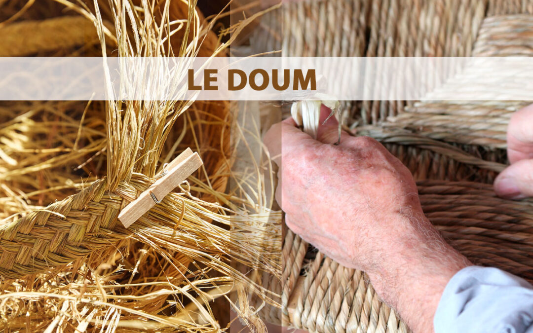 Définition du Doum